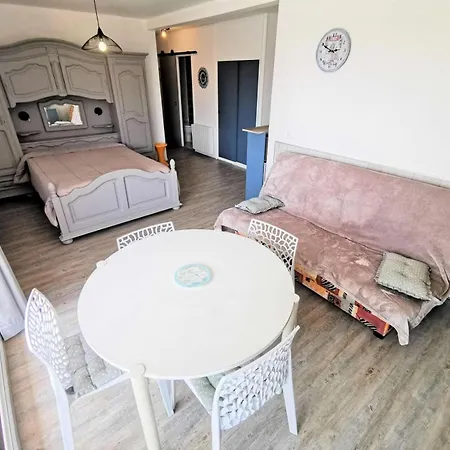 דירה Le Canigou - Grand 4 Couchages Port Mae-4834 לאוקאט