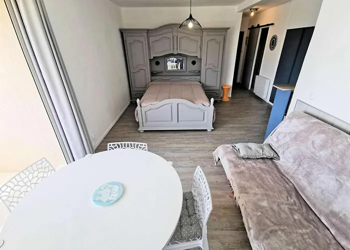 Le Canigou - Grand 4 Couchages Port Mae-4834 דירה לאוקאט